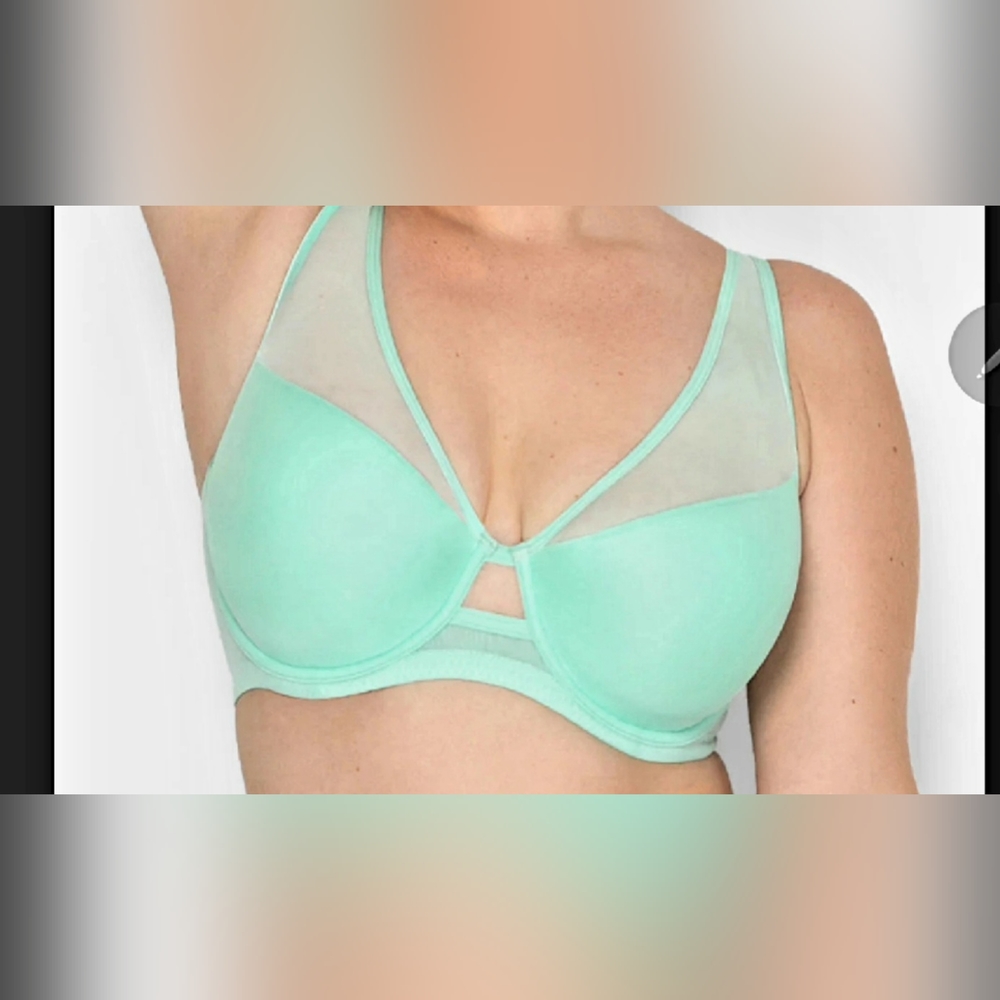 Mesh Plunge Bra / Mint Chip Mesh / Brand New / NWOT / Never Been Worn / Size 36B